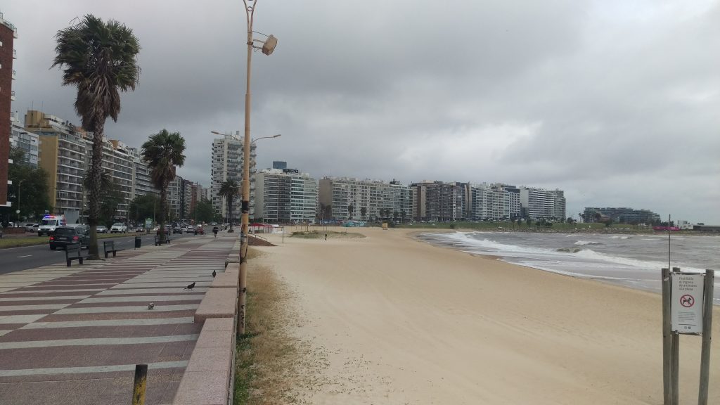 IMAG2581