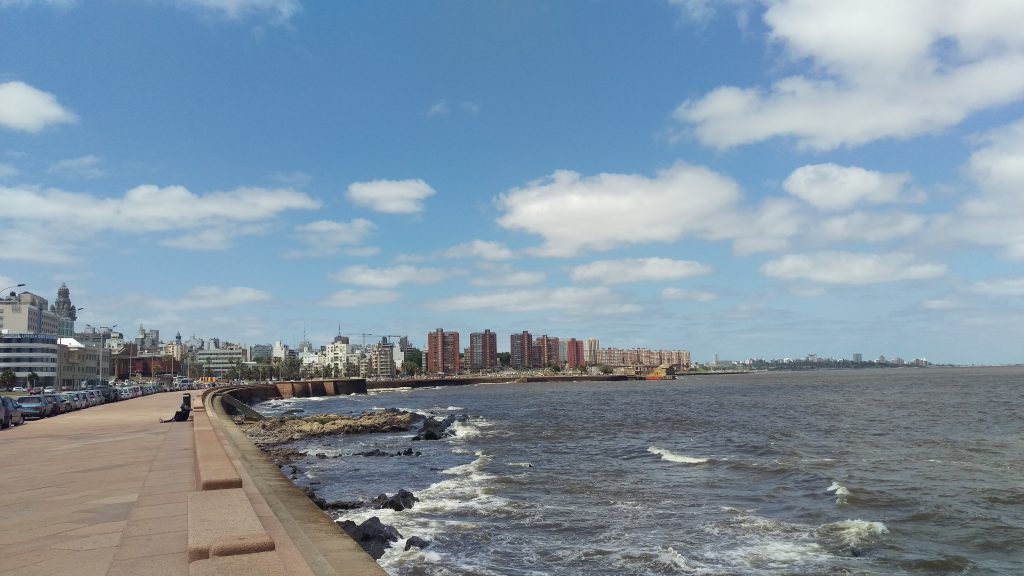 IMAG2608
