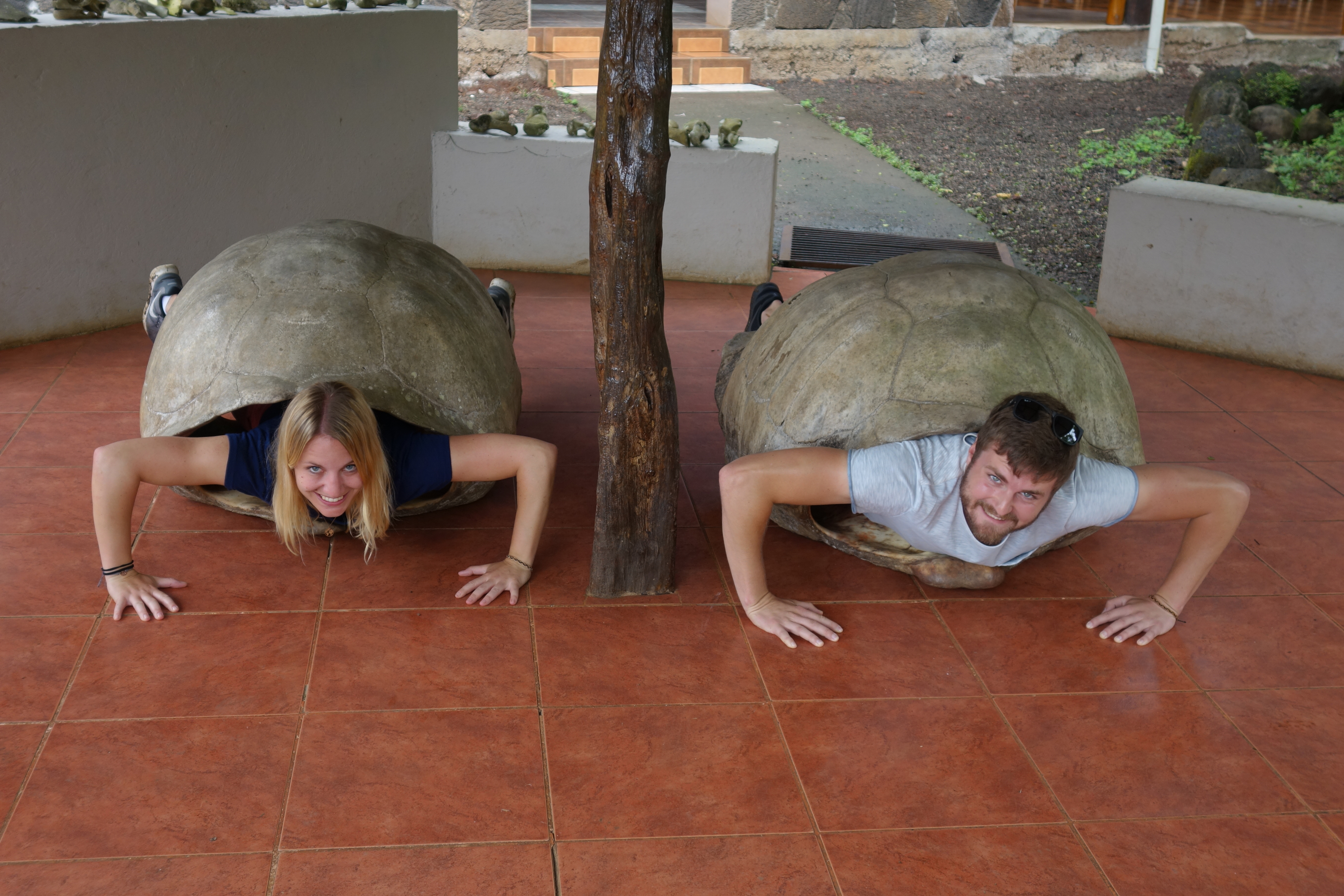 Galapagos Teil 1/3 – Santa Cruz