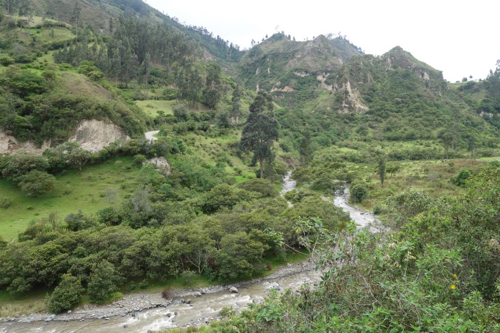 DSC08741