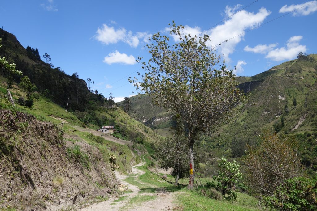 DSC08842