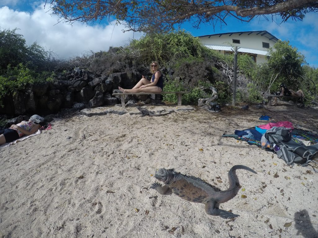 DCIM100GOPROGOPR0351.JPG