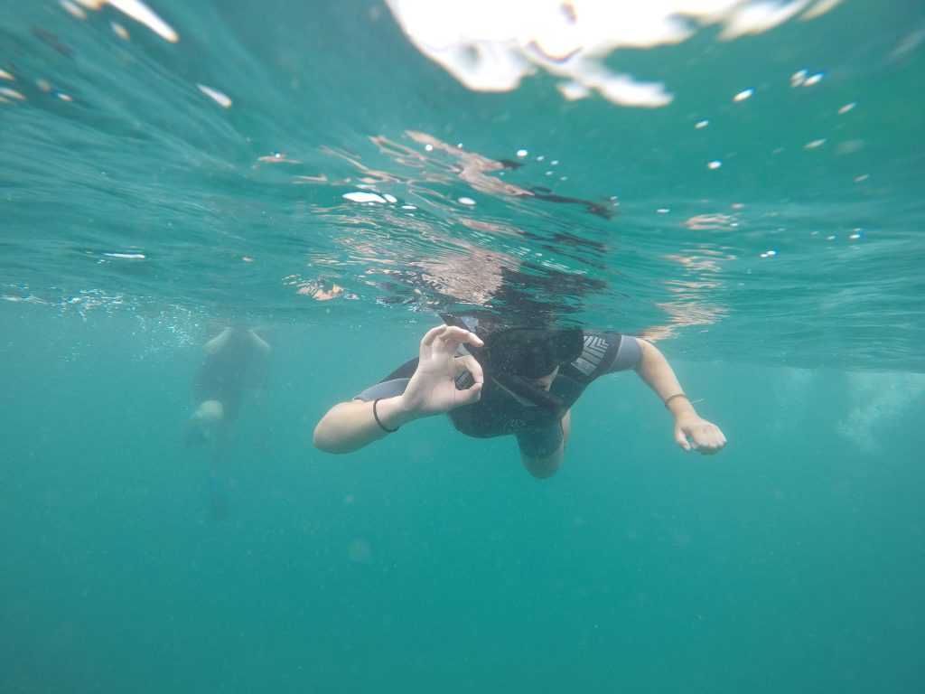 DCIM100GOPROGOPR0388.JPG