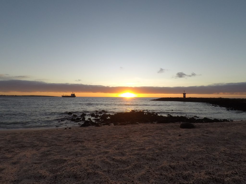 DCIM100GOPROGOPR0719.JPG