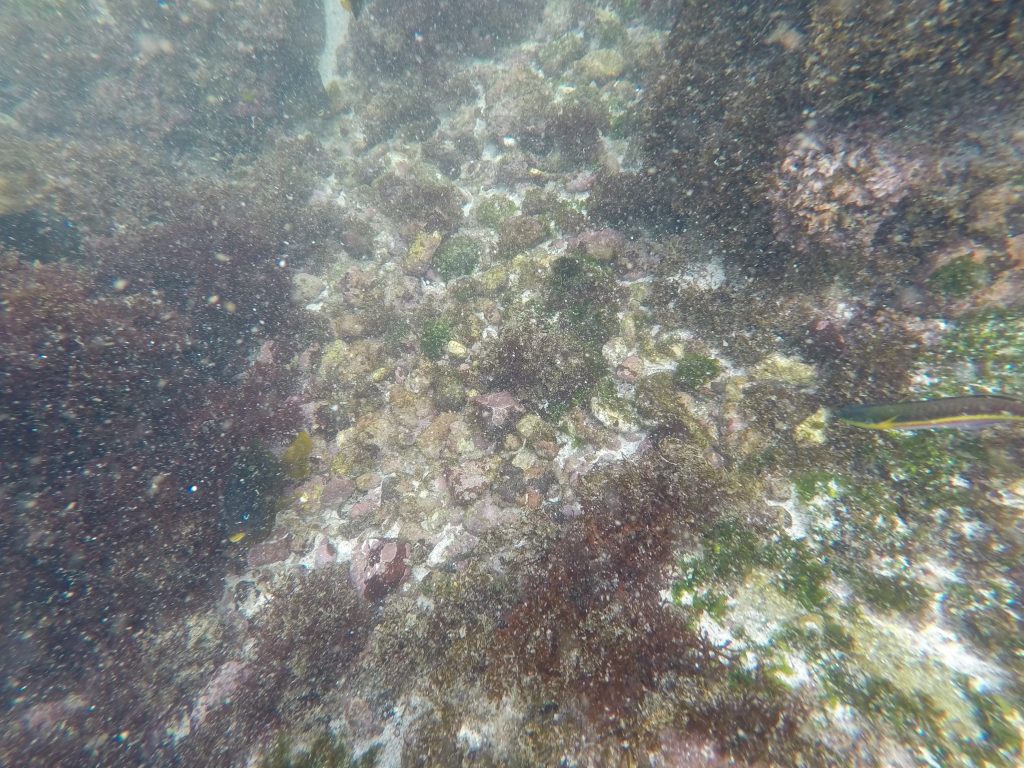 DCIM100GOPROGOPR0768.JPG