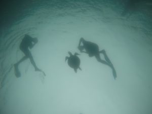 Galapagos Teil 2/3 – Isabela