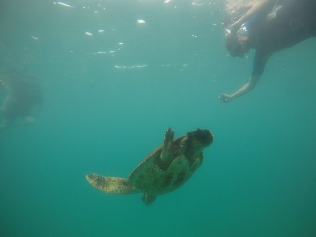 DCIM100GOPROGOPR4028.JPG