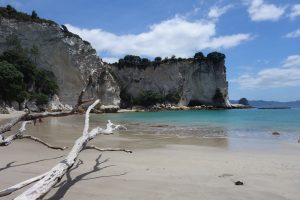 Coromandel Peninsula