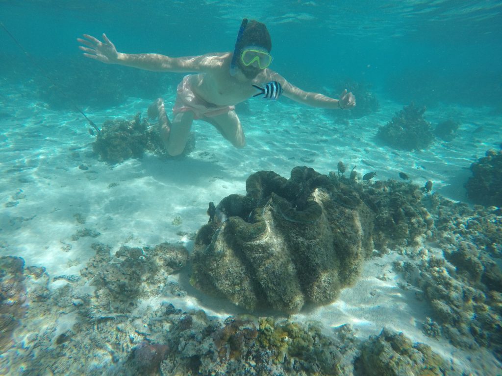 DCIM101GOPROGOPR1451.JPG