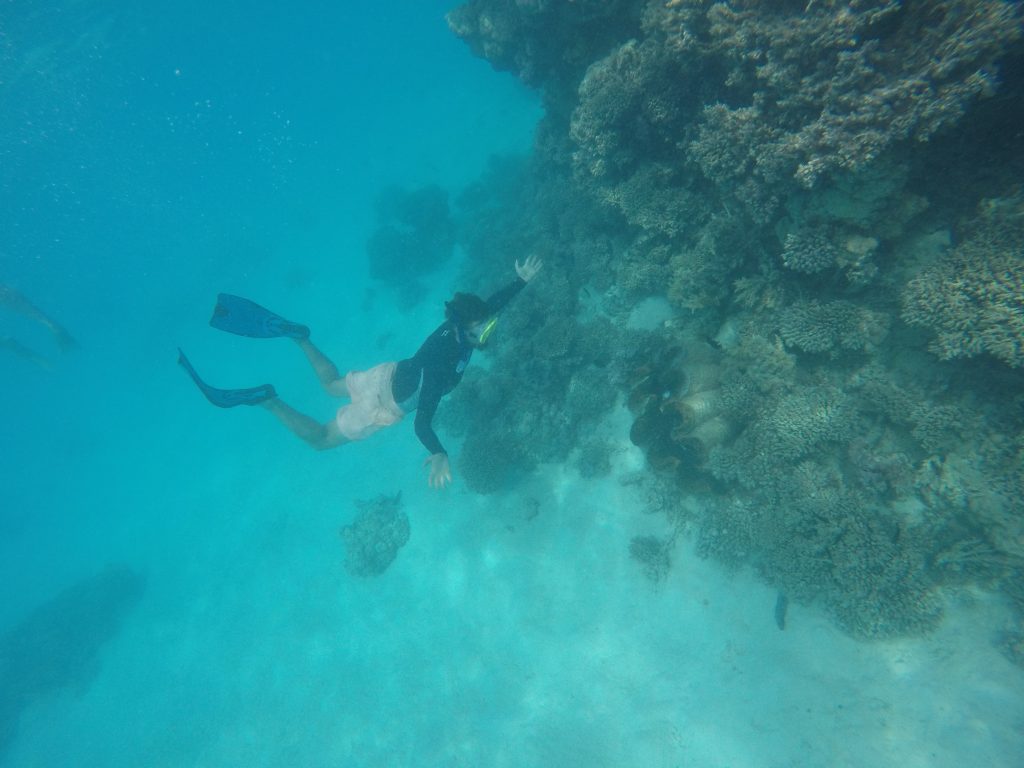 DCIM101GOPROGOPR1495.JPG