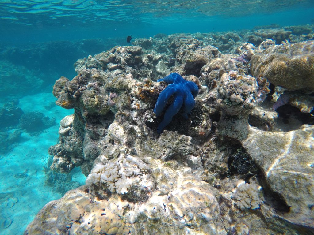 DCIM101GOPROGOPR1542.JPG