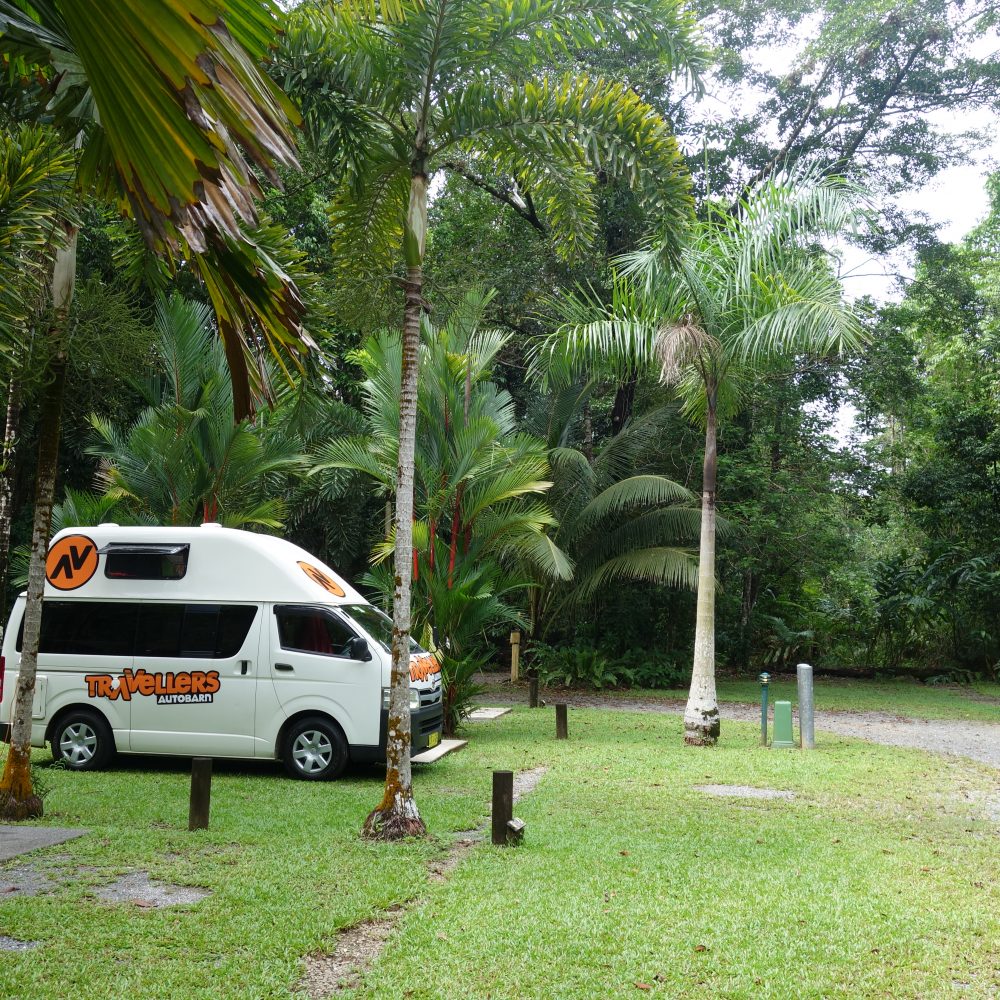 Von Daintree bis Townsville