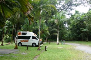 Von Daintree bis Townsville