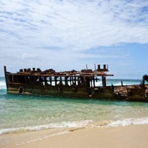 Fraser Island und Sunshine Coast
